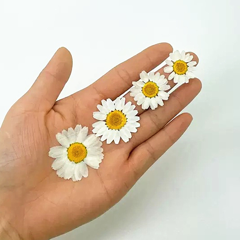 100 Stück Natürliche Weiße Kri – Crystal Growing Kit Bewertung und Preis