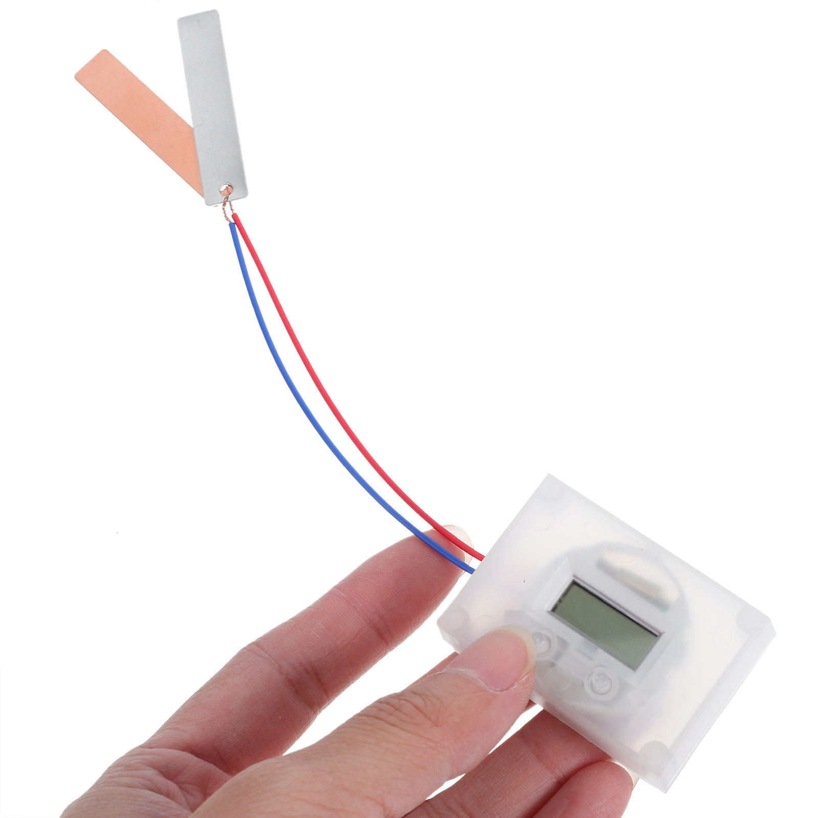 1 Set Frucht-Batterie-Experime – Science Project Physics Bewertung und Preis