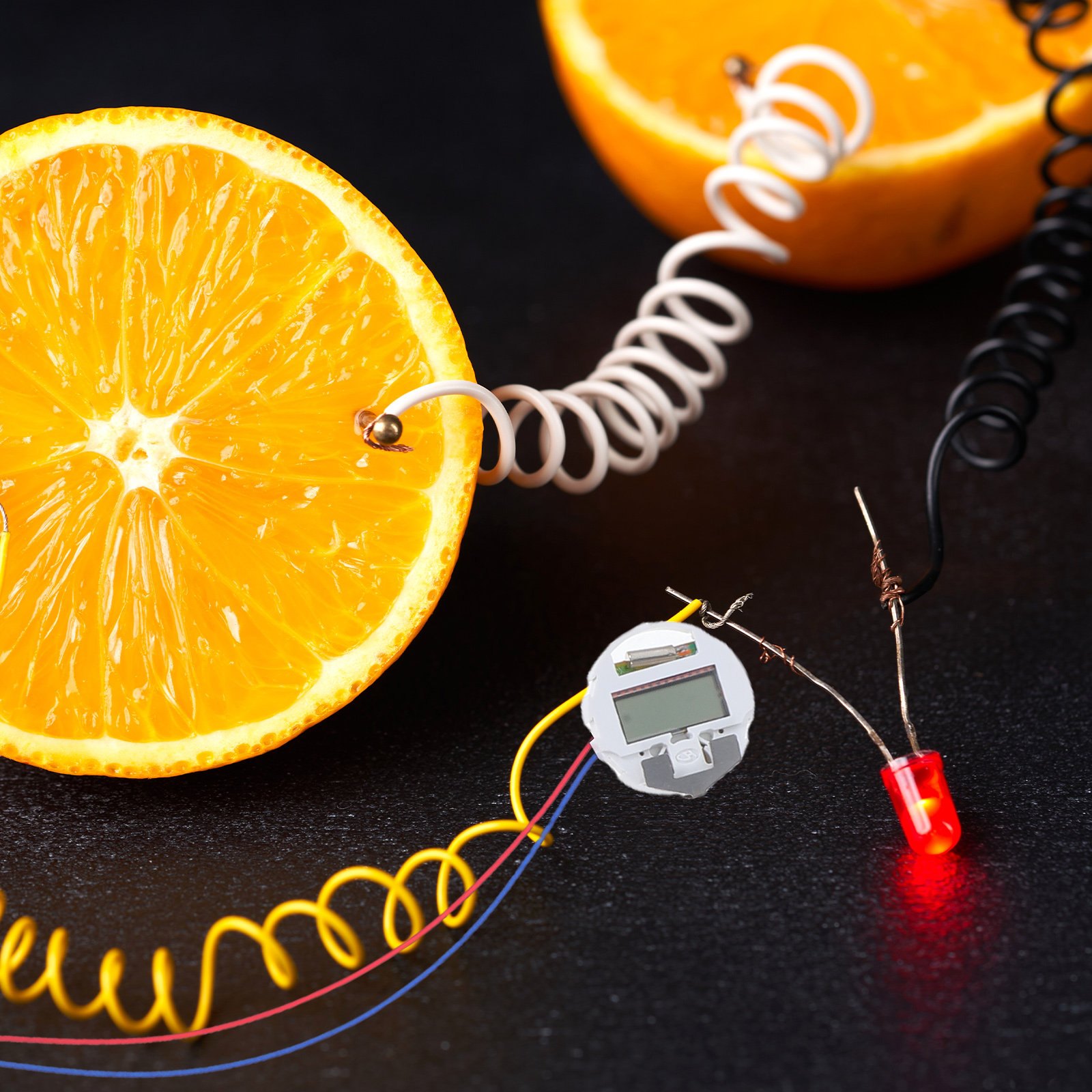 1 Set Frucht-Batterie-Experime – Science Project Physics Bewertung und Preis