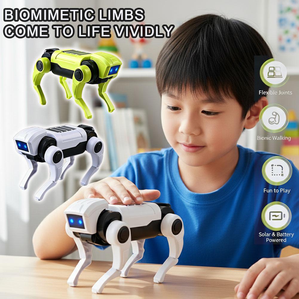 1/2 Stück RC Roboter Ferngeste – Science Project Robot Bewertung und Preis
